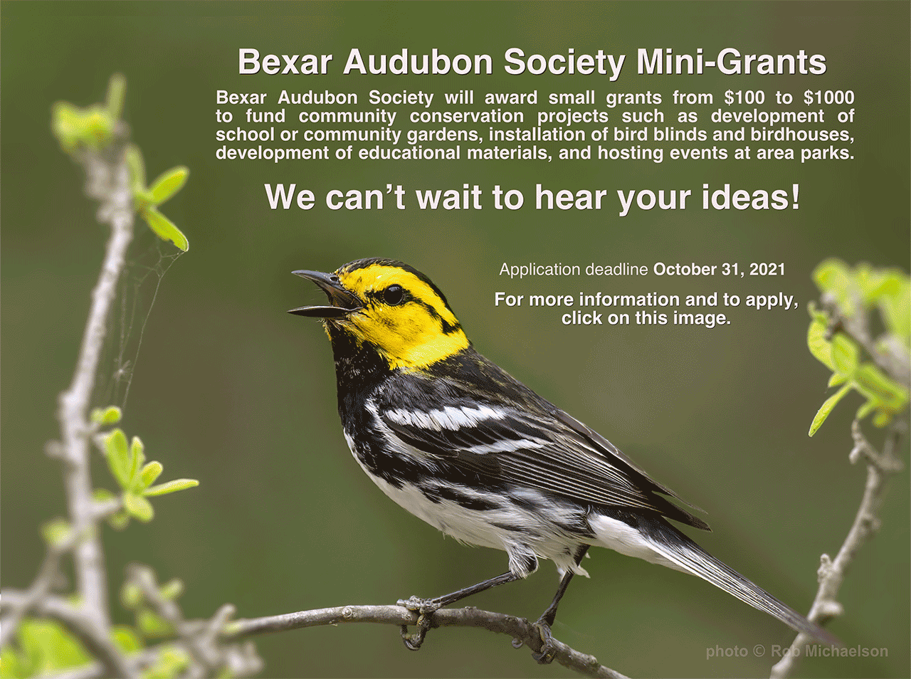 Flyer for grant program