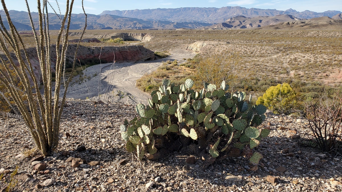 looking south down the Fresno Creek drainage towards Mexico