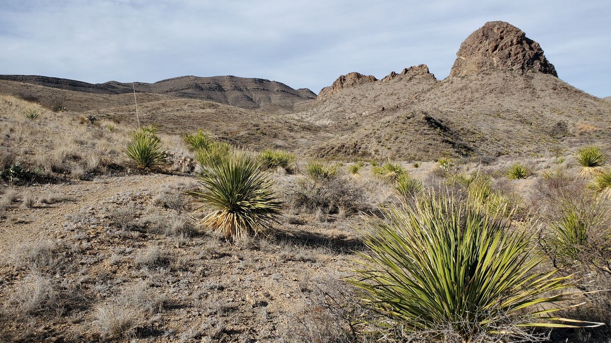 From the south side of the Solitario. Needle Peak right