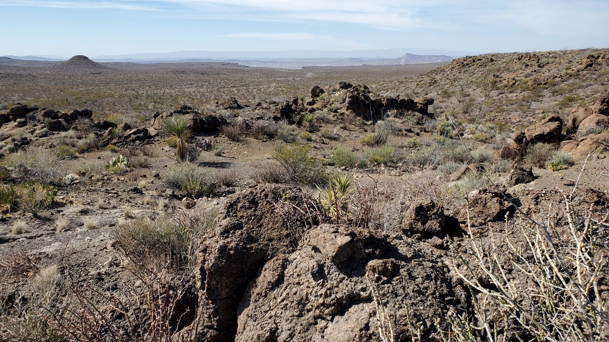 Near the southwest end of Palo Amarillo Spring trail.