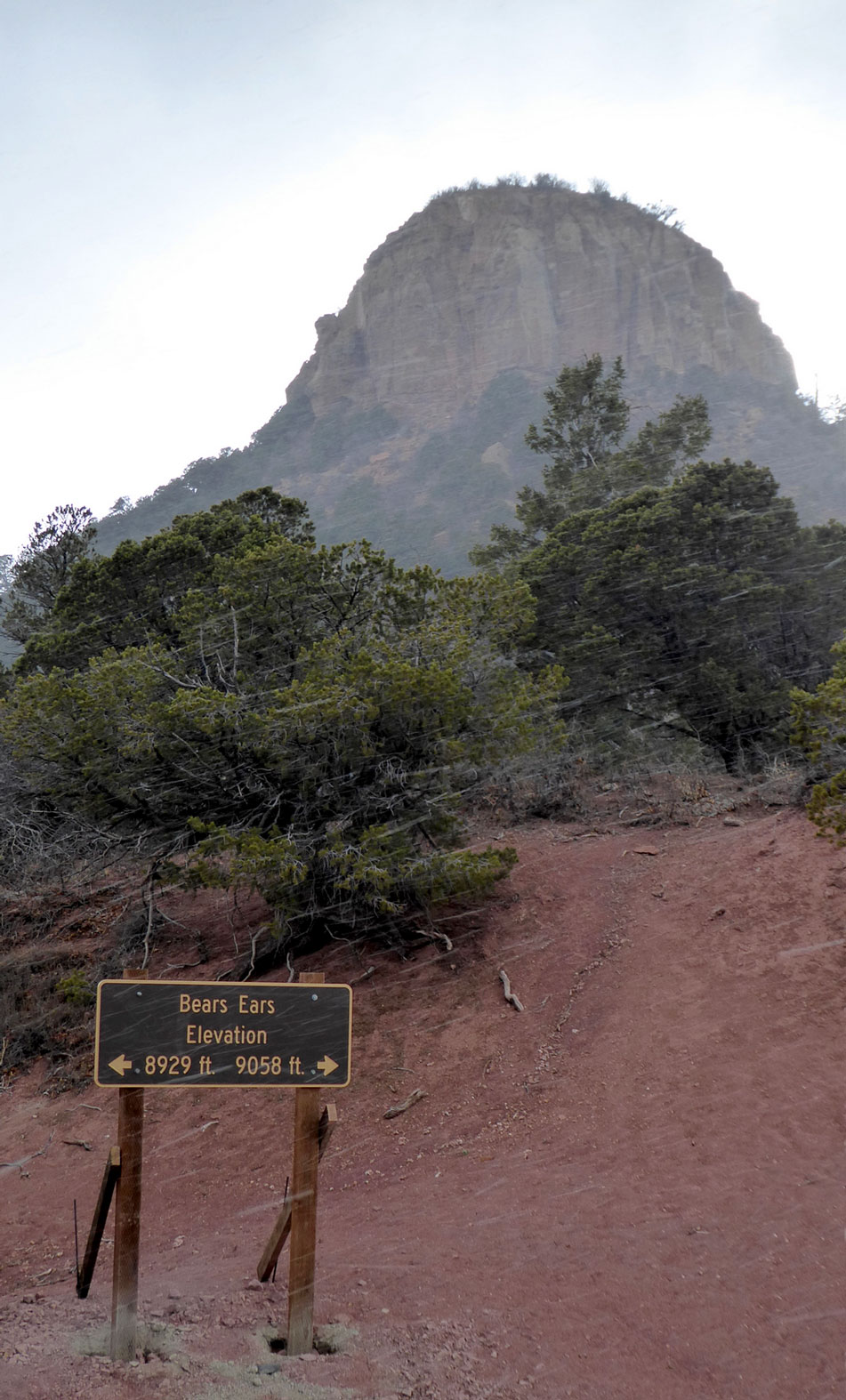 At the pass between the Bears Ears on Elk Mountain Road