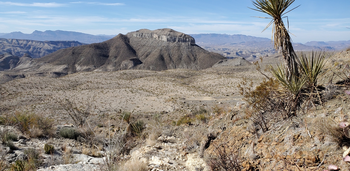 At the southeast corner, about ½ mile southeast of the prior picture. The tall yucca is Spanish giant dagger.