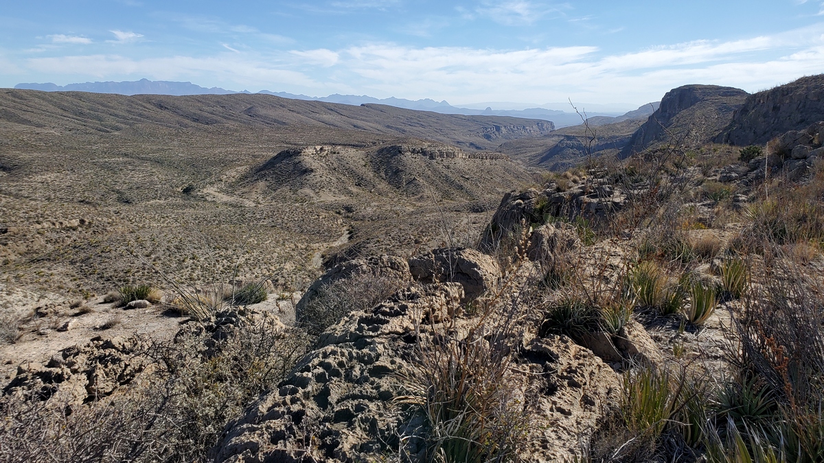 On the east side of the Mesa de Anguila loop near the north corner. Emory Peak is the high point left on the horizon. The low rounded peak center right is likely Elephant Tusk.
