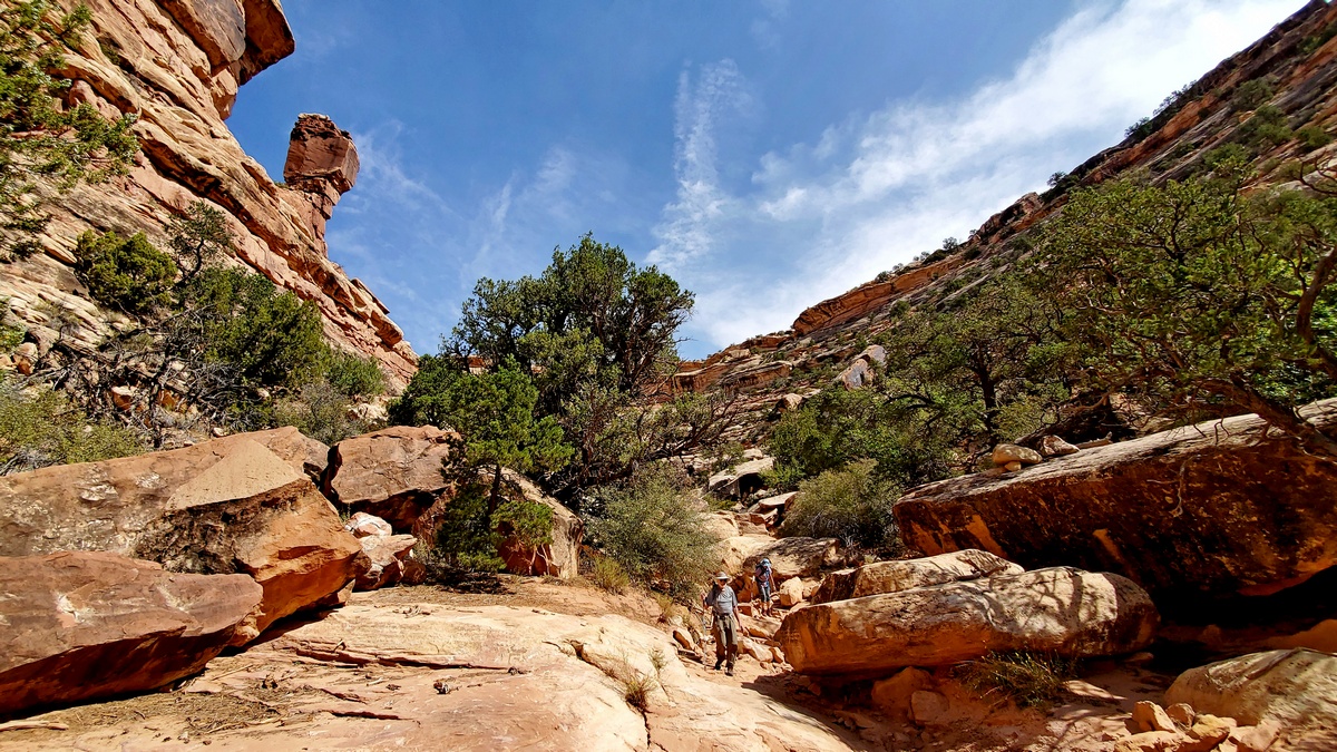 Nearing bottom of Slickhorn Canyon