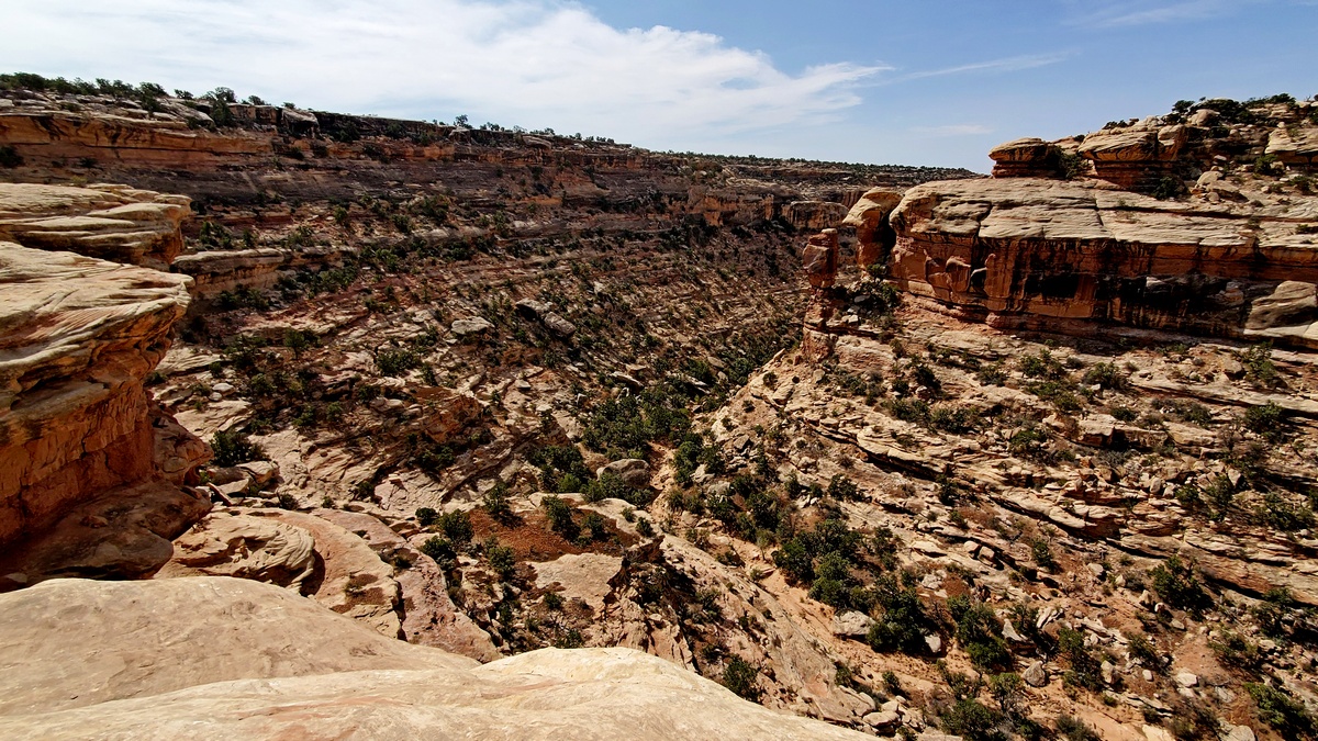 Slickhorn Canyon First Fork
