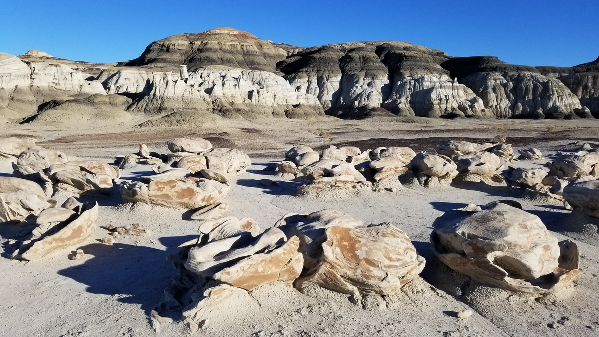 Looking north across Chaco Wash