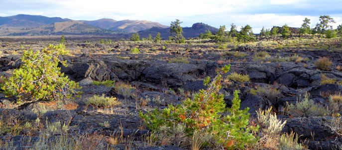 A collapsed lava tube at Craters of the Moon