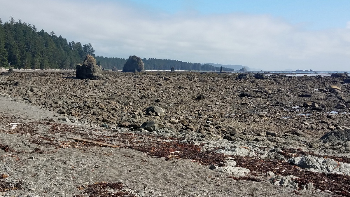 Looking southeast from Cape Alava