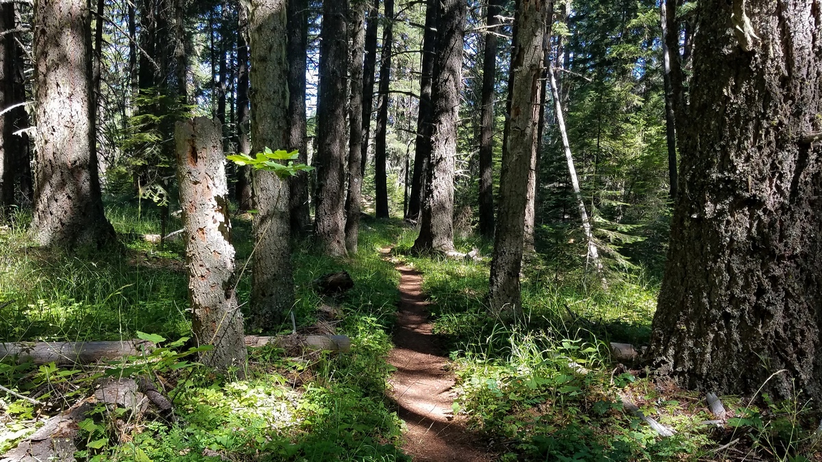 Green Mountain Loop