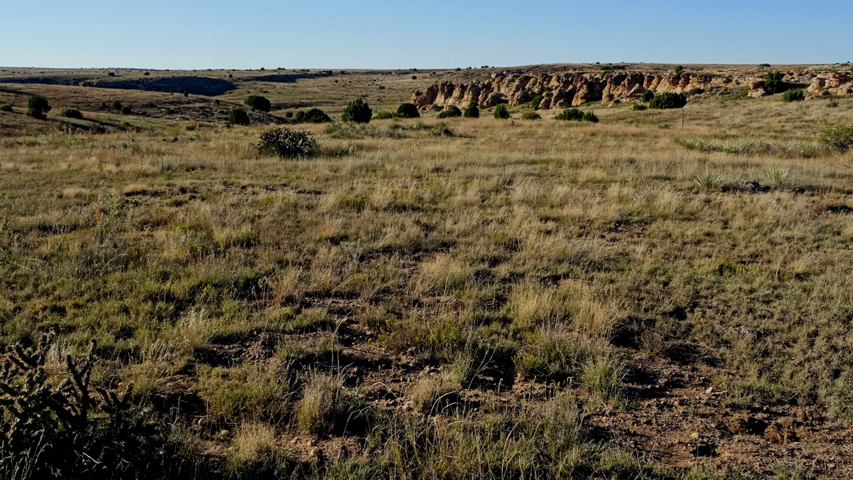 Comanche National Grassland