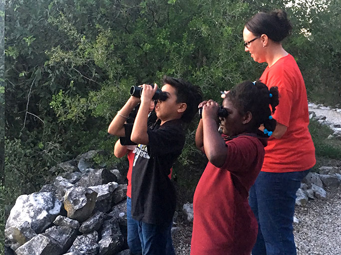 Kids looking at bats through binoculars