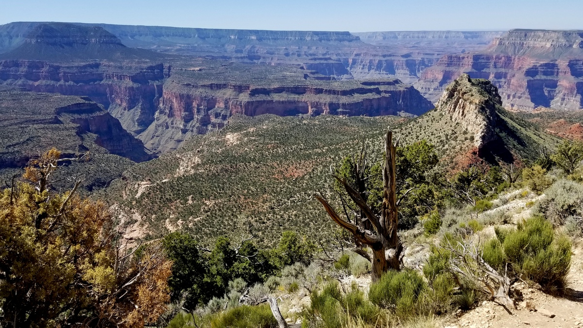 Looking south from Monument Point