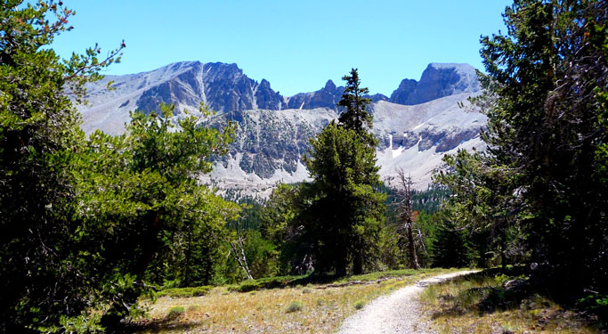 Mt. Wheeler, from the ascent trail