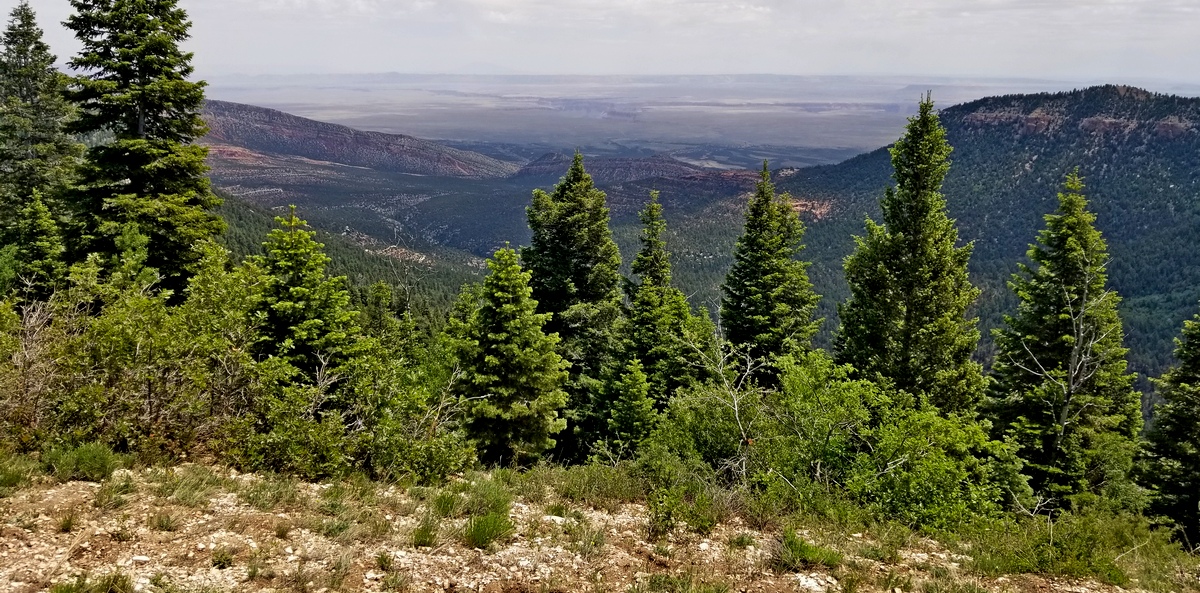 East Rim viewpoint
