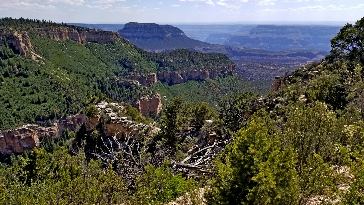 Rainbow Rim Trail looking southwest