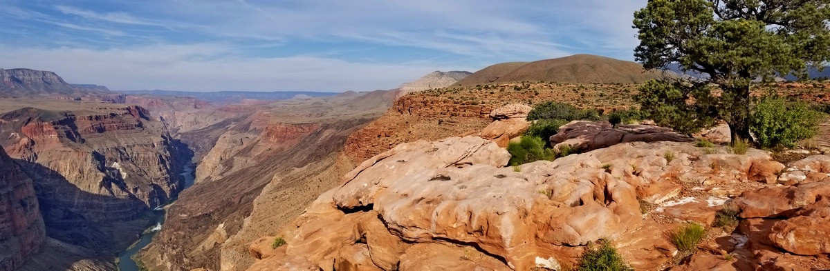 Panorama from Toroweap Overlook