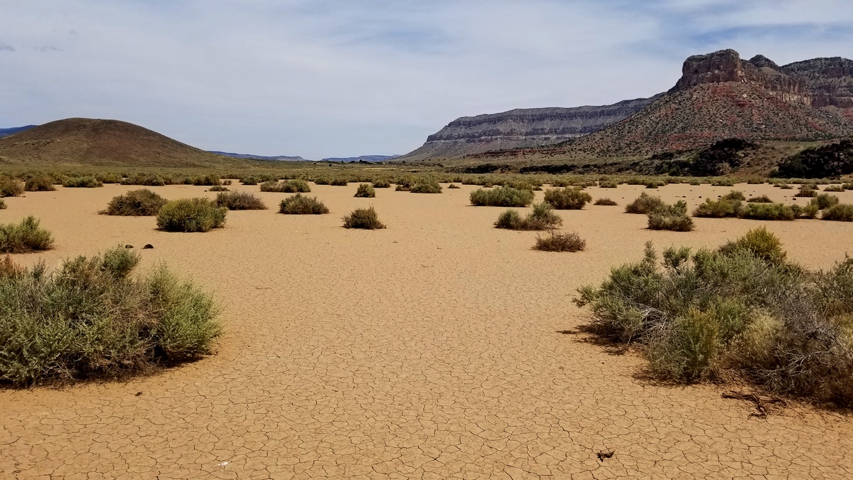 Looking north up Toroweap Valley 