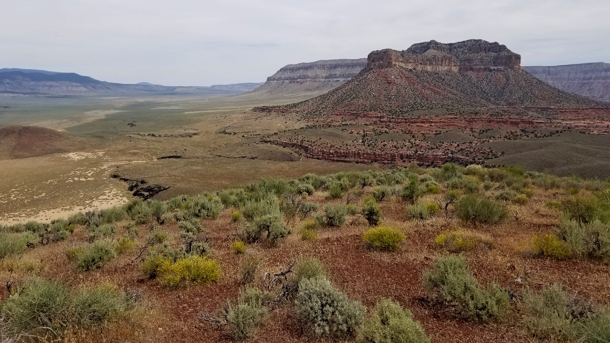 Looking north up Toroweap Valley