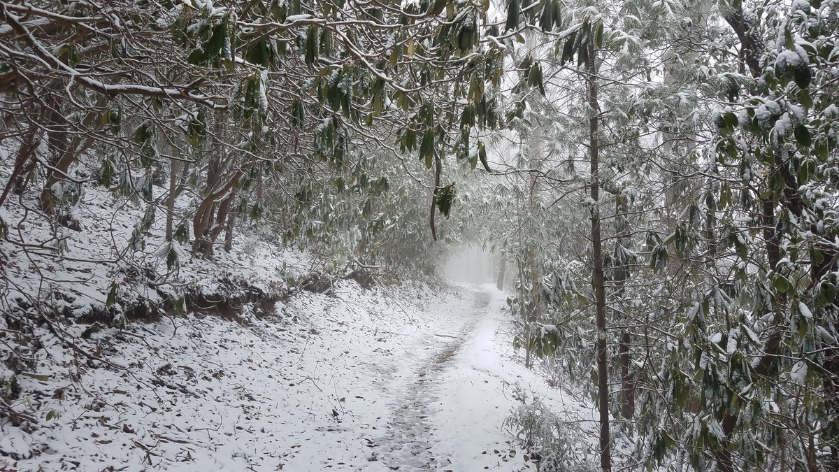 The Rich Mountain Loop trail