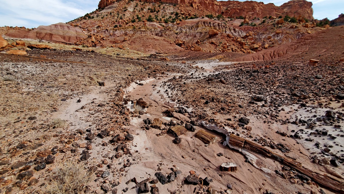 Near top of the ridge looking east