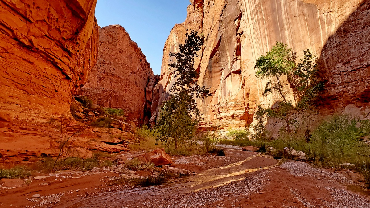 Wolverine Canyon