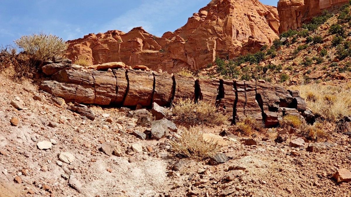 Top of Wolverine Canyon ridge