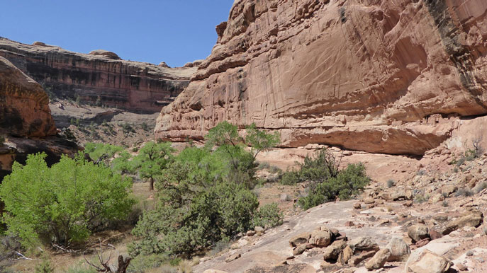 Grand Gulch