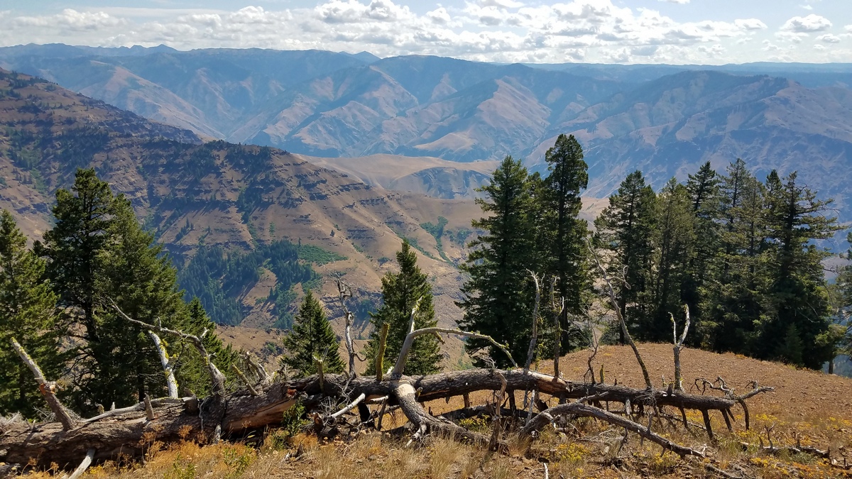 Hells Canyon overlook