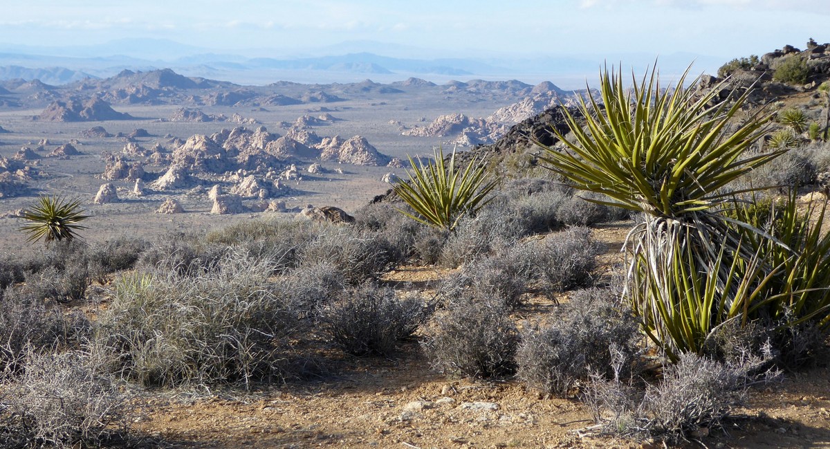 Looking north from Ryan mtn.