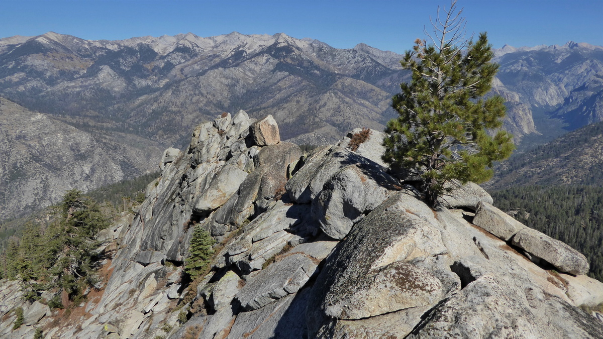 View from Lookout Peak
