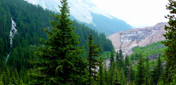 Foot of the Winthrop Glacier