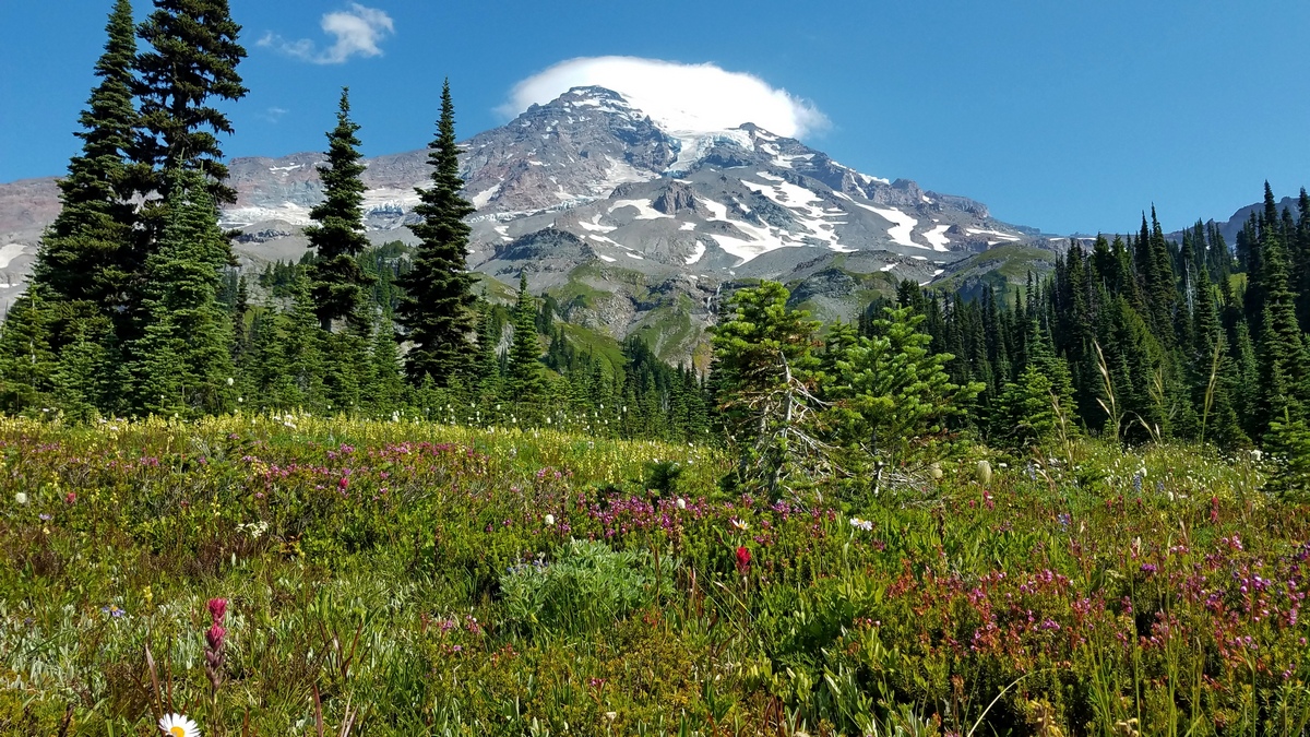 Mount Rainier 