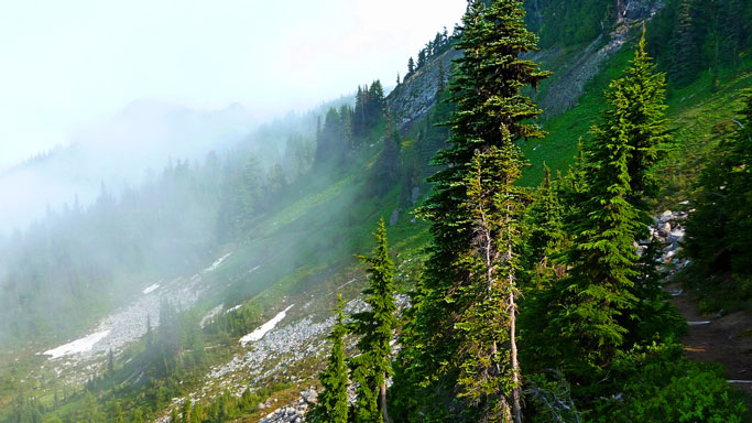 On the Wonderland Trail, west side
