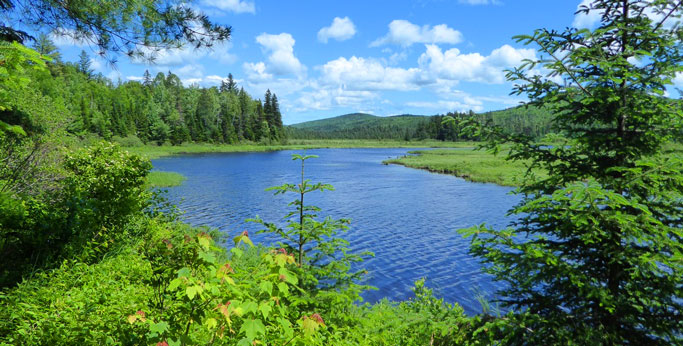 A small lake 