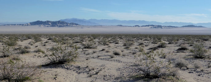Looking north from California Route 62 into Sheephole Valley Wilderness.