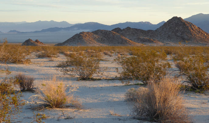 Sheephole Valley Wilderness
