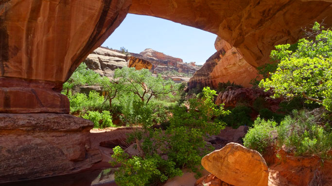 Kachina Bridge