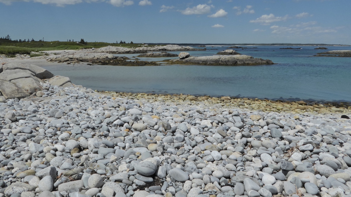 Looking northeast from the loop trail, Kejimkujik Seaside Adjunct