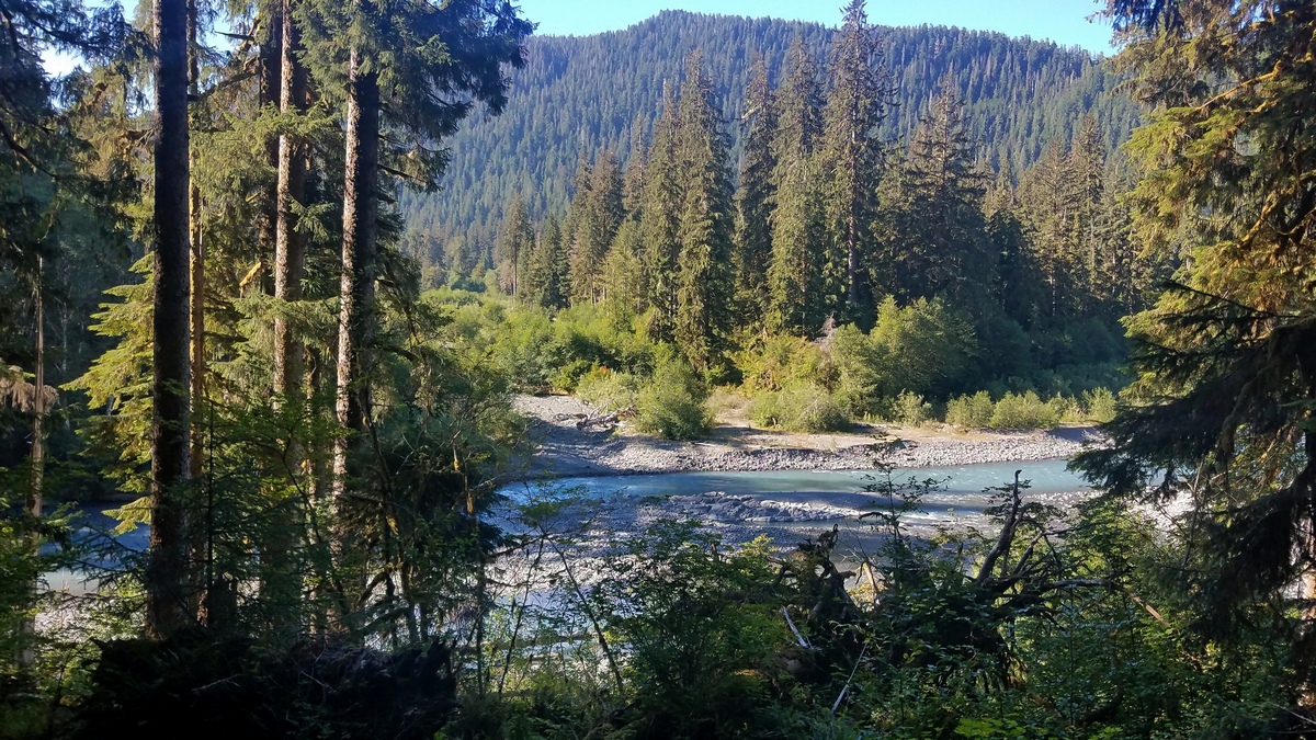 Hoh River