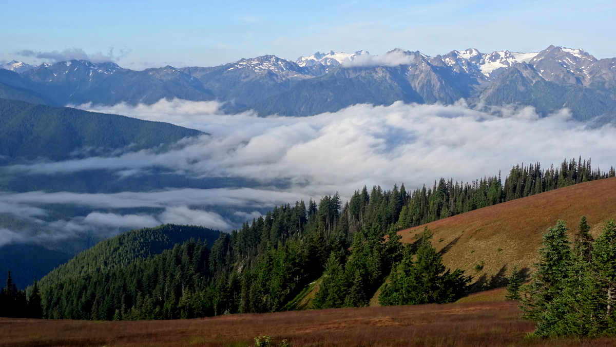 The Olympic Range 