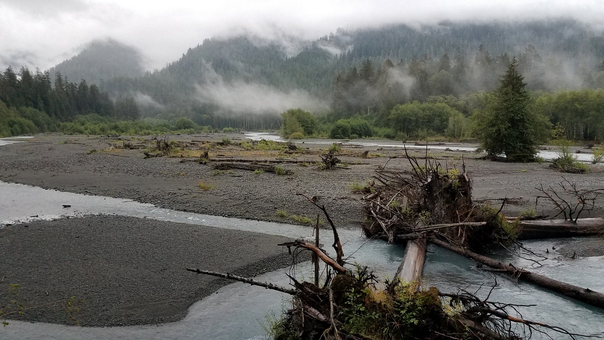 The Quillayute River
