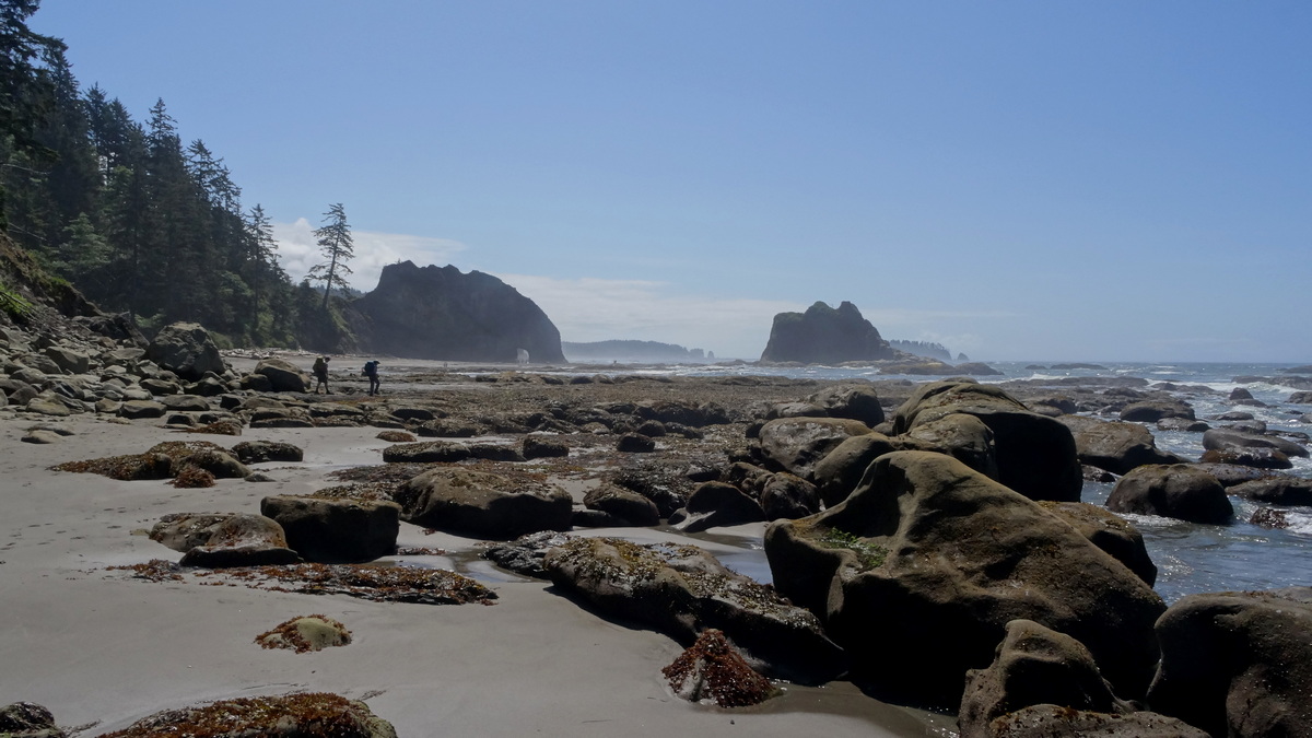 A few  miles north of Rialto Beach