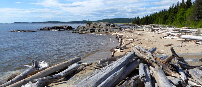 Driftwood and glacially  polished rocks