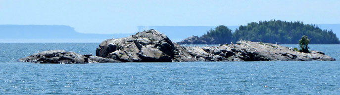 just below the summit of Mt Washington