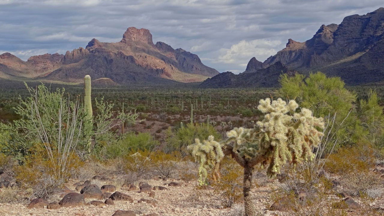 On the route into the Bates Mountains