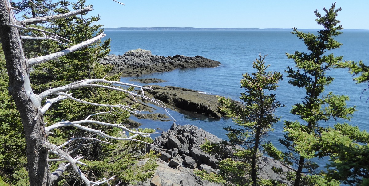  Quoddy Head State Park, Maine, just east of the Quoddy Head lighthouse