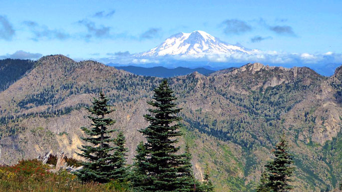 Mt. Rainier
