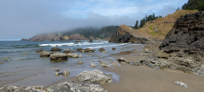 On the Pacific coast in Redwoods National Park