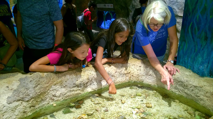 crabs and urchins pool with two girls