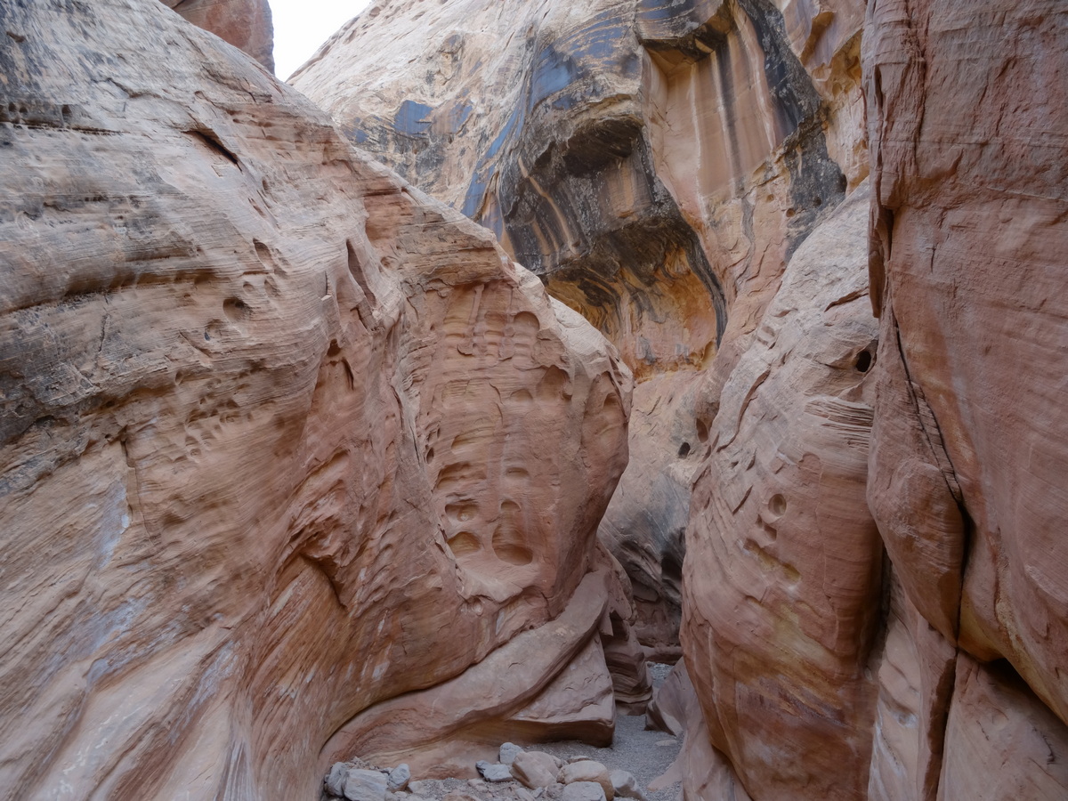 In Little Wildhorse Canyon